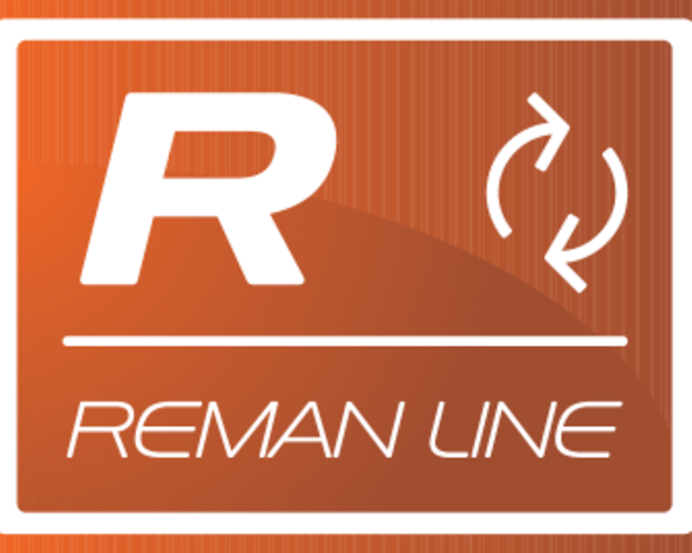 149911_1_REMAN Neu_data Label REMAN LINE